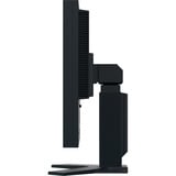 EIZO FlexScan S2134 21.3" Moniteur  Noir