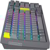 ENDORFY Celeris 1800 RGB clavier gaming mécanique Gris, Layout DE (QWERTZ), ENDORFY Yellow by Gateron, 100%
