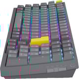 ENDORFY Celeris 1800 RGB clavier gaming mécanique Gris, Layout DE (QWERTZ), ENDORFY Yellow by Gateron, 100%