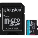 Kingston Canvas Go! Plus microSDXC 256 Go, Carte mémoire Noir, Incl. adapteur, Class 10, UHS-I U3, V30, A2