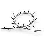 Philips Hue Hue White & Color Ambiance Guirlande Festavia 20m, Guirlande lumineuse 