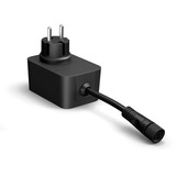 Philips Hue Hue White & Color Ambiance Guirlande Festavia 20m, Guirlande lumineuse 