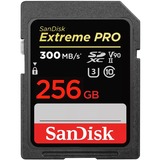 SanDisk SDSDXDK-256G-GN4IN, Carte mémoire Noir