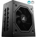 Sharkoon Rebel P20 alimentation modulaire 1000 watt Noir, 1x 12VHPWR, 4x PCIe