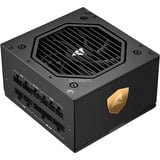 Sharkoon Rebel P20 alimentation modulaire 1000 watt Noir, 1x 12VHPWR, 4x PCIe