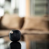 Shelly BLU Button Tough ZB, Palpeur Noir