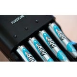 Ansmann maxE 800mAh NiMh, Batterie Argent, AAA, Hybrides nickel-métal (NiMH), 1,2 V, 800 mAh, 10.5 x 44.5