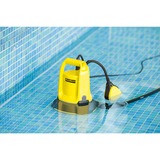Kärcher 1.645-810.0, Pompe submersible et pression Jaune/Noir