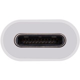 OWC Adaptateur USB, connecteur USB-C > prise DisplayPort Blanc