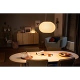 Philips Hue Suspension Flourish, Lumière LED Blanc, Philips Hue White and Color ambiance Suspension Flourish, Eclairage intelligent par suspension, Blanc, Bluetooth, LED, Ampoule(s) non remplaçable(s), Blanc