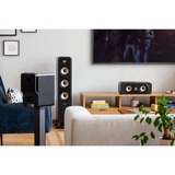 Polk Audio Signature Elite ES15, Haut-parleur Noir