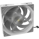 RAIJINTEK 0R10B00234, Watercooling Blanc