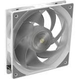 RAIJINTEK 0R10B00234, Watercooling Blanc
