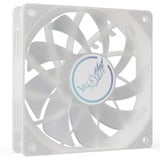 Valkyrie V12F ARGB 120 ventilateur de boîtier Blanc, 120 x 120 x 25 mm
