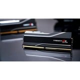 G.Skill 48 Go DDR5-6000 (2x 24 Go) mémoire vive Noir, F5-6000J4048F24GX2-TZ5NR, EXPO