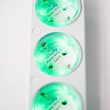 Shelly Multiprise Power Strip 4 Gen4 Blanc