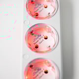 Shelly Multiprise Power Strip 4 Gen4 Blanc