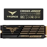 Team Group  SSD Noir/Or