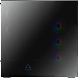 ARCTIC  boîtier midi tower Noir | 2x USB-A | 1x USB-C | RGB | Window