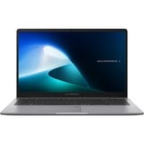ASUS ExpertBook P1 P1503CVA-S70722 Intel® Core™ i5 i5-13420H Ordinateur portable 39,6 cm (15.6") Full HD 8 Go DDR5-SDRAM 256 Go SSD Wi-Fi 6 (802.11ax) Allemand Gris 15.6" PC portable  Gris | Intel® Core™ i5 | 39,6 cm (15.6") | 1920 x 1080 pixels | 8 Go | 256 Go | Gris