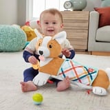 Fisher-Price HJW10, Peluche 