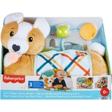 Fisher-Price – Mon Coussin Chiot d’éveil 3 en 1, Peluche 0 an(s), Plastique, Multicolore