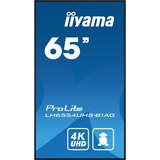 iiyama LH6554UHS-B1AG, Affichage public Noir