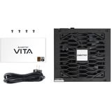 Chieftec VITA alimentation 650 watt Noir, 2x PCIe