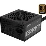 GIGABYTE GP-P550B alimentation  550 watt Noir, 2x PCIe, 550 W, 100 - 240 V, 50 - 60 Hz, 8 - 4 A, Actif, 108 W