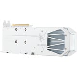 PowerColor RX9060XT 16G-L/OC/WHITE, Carte graphique 