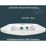 TP-Link Festa F67 Blanc Connexion Ethernet, supportant l'alimentation via ce port (PoE), Point d'accès 2,4 GHz, 5 GHz
