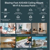 TP-Link Festa F67 Blanc Connexion Ethernet, supportant l'alimentation via ce port (PoE), Point d'accès 2,4 GHz, 5 GHz