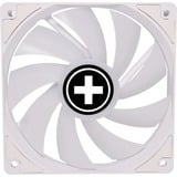 Xilence Performance A+ XF064 Boitier PC Ventilateur 12 cm Blanc 1 pièce(s) ventilateur de boîtier RGB  Blanc, 120 x 120 x 25 mm, PWM, Ventilateur, 12 cm, 500 tr/min, 1500 tr/min, 32,5 dB, 119 cfm
