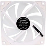 Xilence Performance A+ XF064 Boitier PC Ventilateur 12 cm Blanc 1 pièce(s) ventilateur de boîtier RGB  Blanc, 120 x 120 x 25 mm, PWM, Ventilateur, 12 cm, 500 tr/min, 1500 tr/min, 32,5 dB, 119 cfm