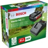 Bosch Starter-Set 36V (GBA 36V 2.0Ah + AL 36V-20), Bundle Noir, Ensemble de batterie et de chargeur, Lithium-Ion (Li-Ion), 2 Ah, 36 V, Bosch, Noir