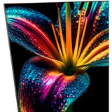 CHiQ  50" TV QLED Noir