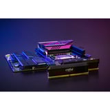 Crucial CP2K32G64C40U5B, Mémoire vive Noir