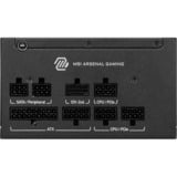 MSI MAG A750GLS PCIE5 unité d'alimentation d'énergie 24-pin ATX ATX Noir alimentation modulaire 750 watt Noir, 4x PCIe, 750 W, 100 - 240 V, 1650 W, 50/60 Hz, Actif, 100 W