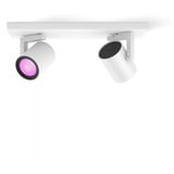 Philips Hue White & Color Ambiance Argenta Spot Double, Lumière LED Blanc