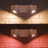 Philips Hue White & Color Ambiance Argenta Spot Double, Lumière LED Blanc