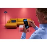 WiZ 8719514554511B éclairage intelligent Bluetooth 5 W, Lumière LED Blanc, Bluetooth, Blanc, LED, Métal, GU10, 2200 K