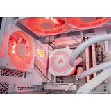 ALTERNATE ALT-ICUECS-AMD-002, PC gaming Blanc/transparent