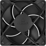 ARCTIC P14 Pro PST CO ventilateur de boîtier Noir, 140 x 140 x 27 mm, PWM, Ventilateur, 14 cm, 400 tr/min, 2500 tr/min, 186 m³/h, Noir
