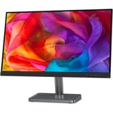 Lenovo L24i-30 60,5 cm (23.8") 1920 x 1080 pixels Full HD LCD Noir, Gris 23.8" Moniteur Noir, 60,5 cm (23.8"), 1920 x 1080 pixels, Full HD, LCD, 4 ms, Noir, Gris