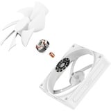 NZXT F120P ventilateur de boîtier Blanc, 120 x 120 x 25 mm, PWM
