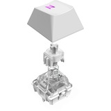 NZXT FUNCTION Elite MiniTKL, clavier gaming Blanc, Layout DE, NZXT Swift