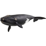 Schleich WILD LIFE Baleine de l'Atlantique, Figurine 3 an(s), Ice & Ocean, Wild animals / adventure toys, Multicolore
