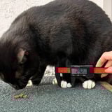 Thermal Grizzly Pied à coulisse numérique TG, Appareil de mesure Noir/Rouge