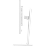 iiyama ProLite XB2497HSU-W1 23.8" Moniteur Blanc (mat), 1x DisplayPort, 1x HDMI, 2x USB-C, 2x USB-A, 120 Hz, 60,5 cm (23.8"), 1920 x 1080 pixels, Full HD, LED, 4 ms, Blanc