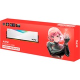 ADATA 32 Go DDR5-6400 (1x 32 Go) mémoire vive Blanc, AX5U6400C3232G-CLARWH, XMP 3.0